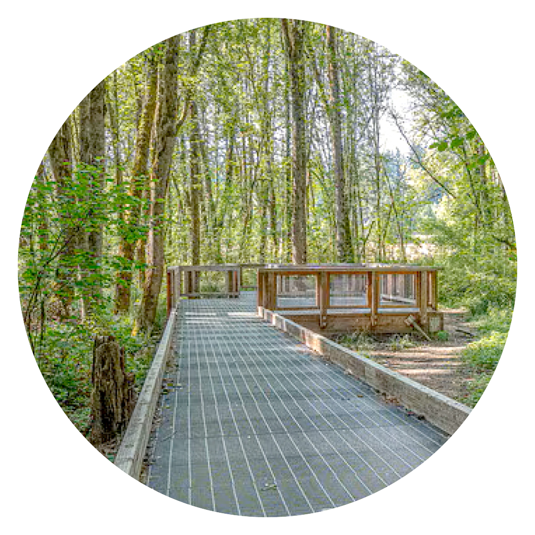 Circular Photo of Dirksen