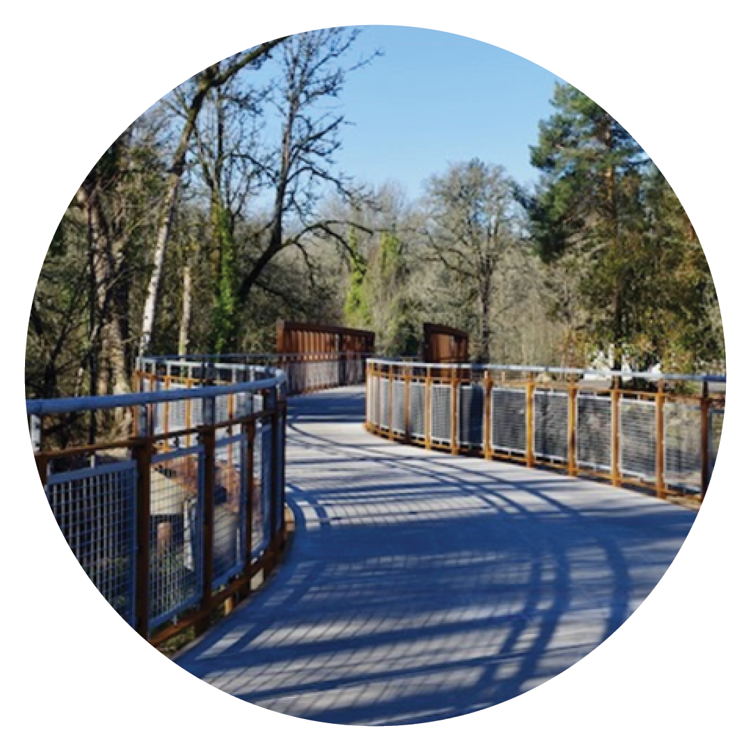 Curved boardwalk trail with railings through a wooded park.